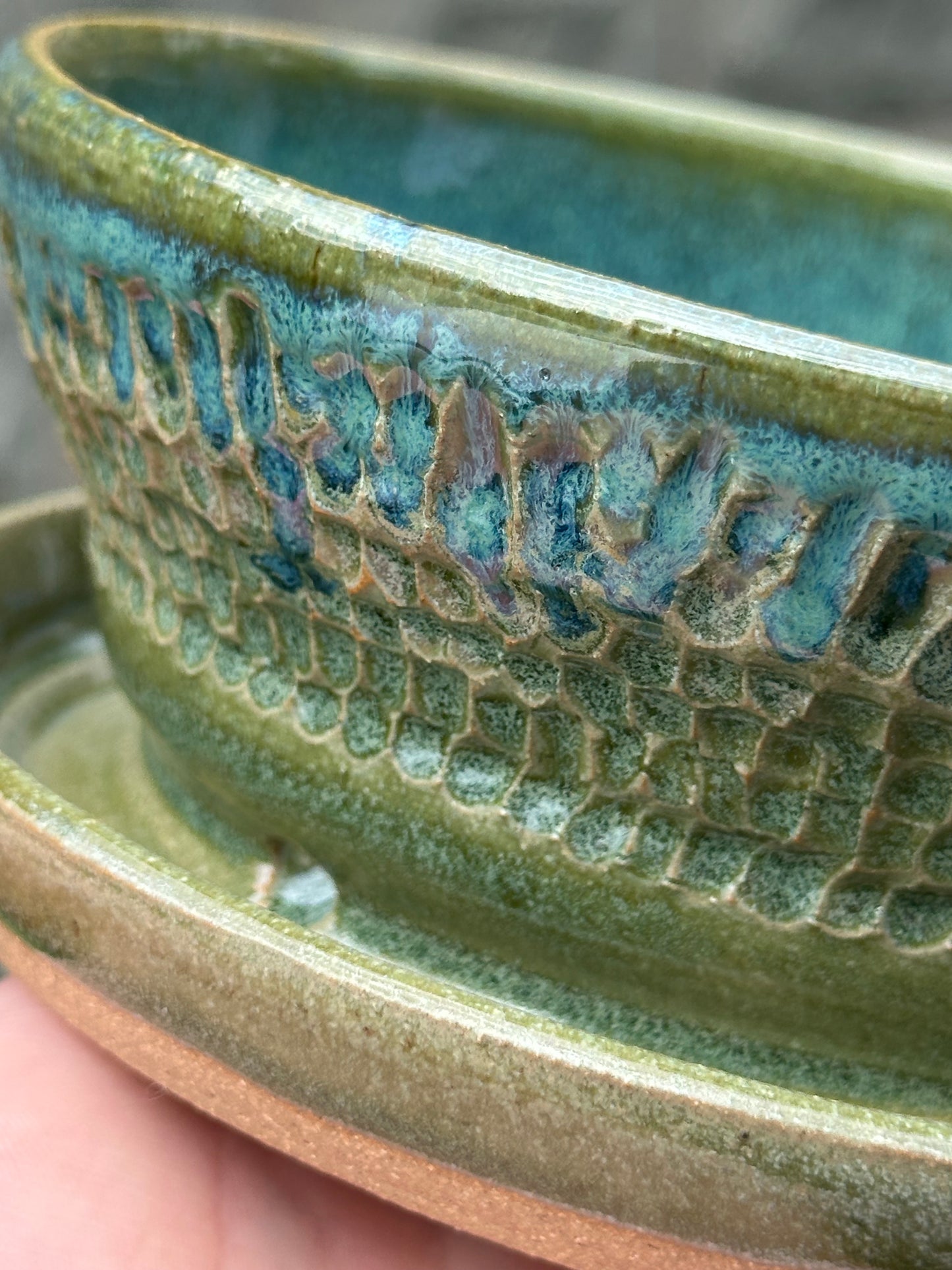 Floating Blue Spearmint Planter